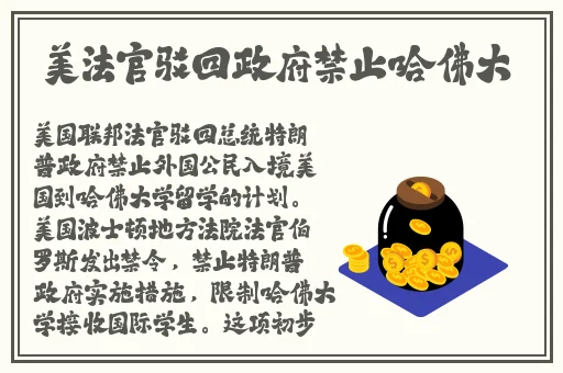 厕拍大神在线